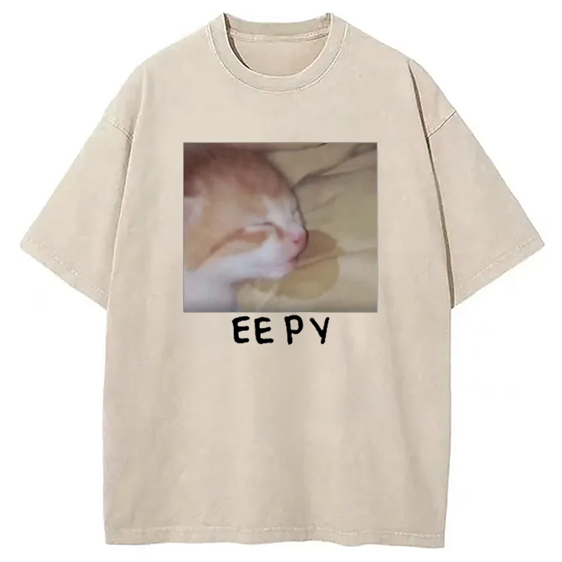 Modecanvas Eepy Kitty Meme Washed T-Shirt