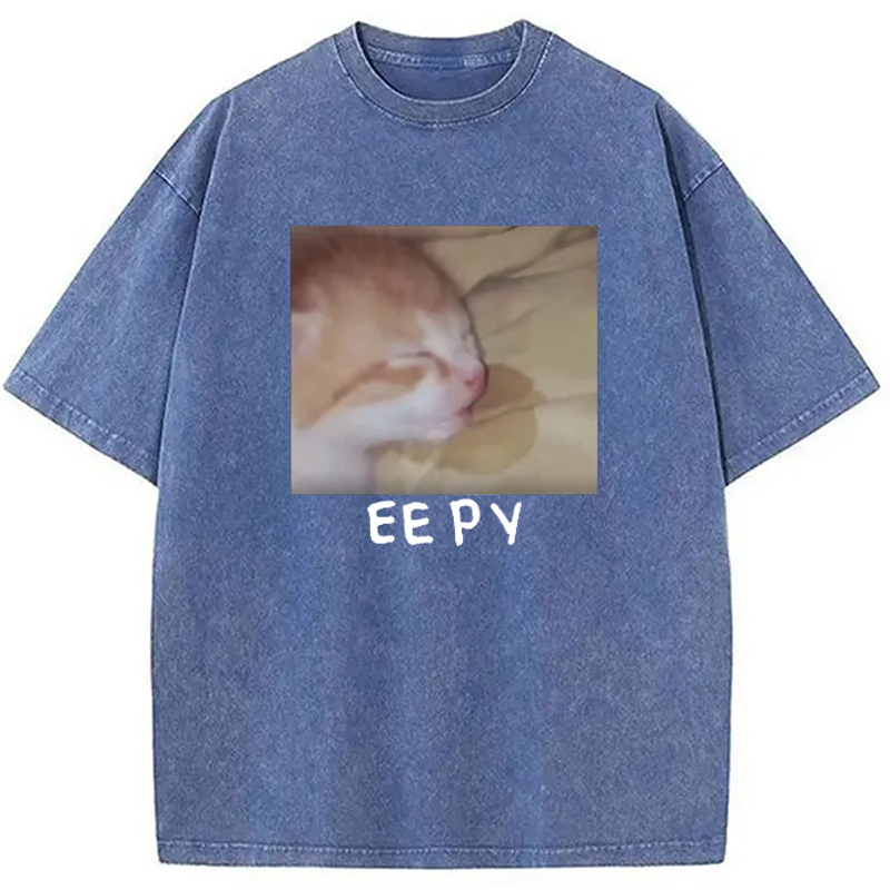 Modecanvas Eepy Kitty Meme Washed T-Shirt