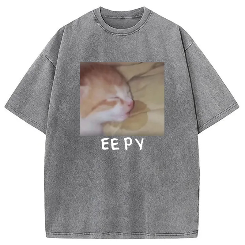 Modecanvas Eepy Kitty Meme Washed T-Shirt