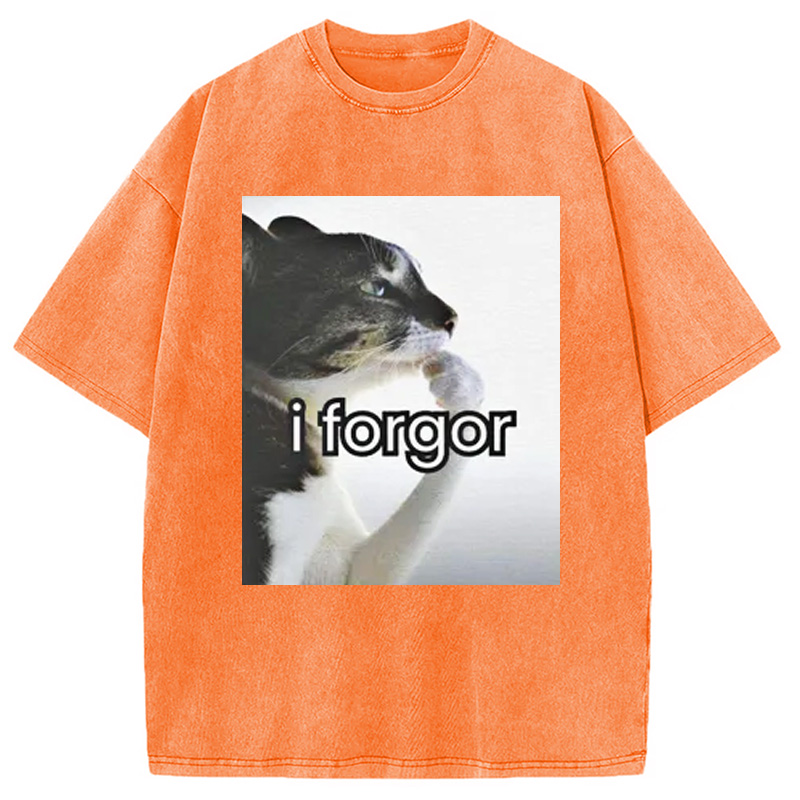 Modecanvas I Forgor Cat Meme Washed T-Shirt