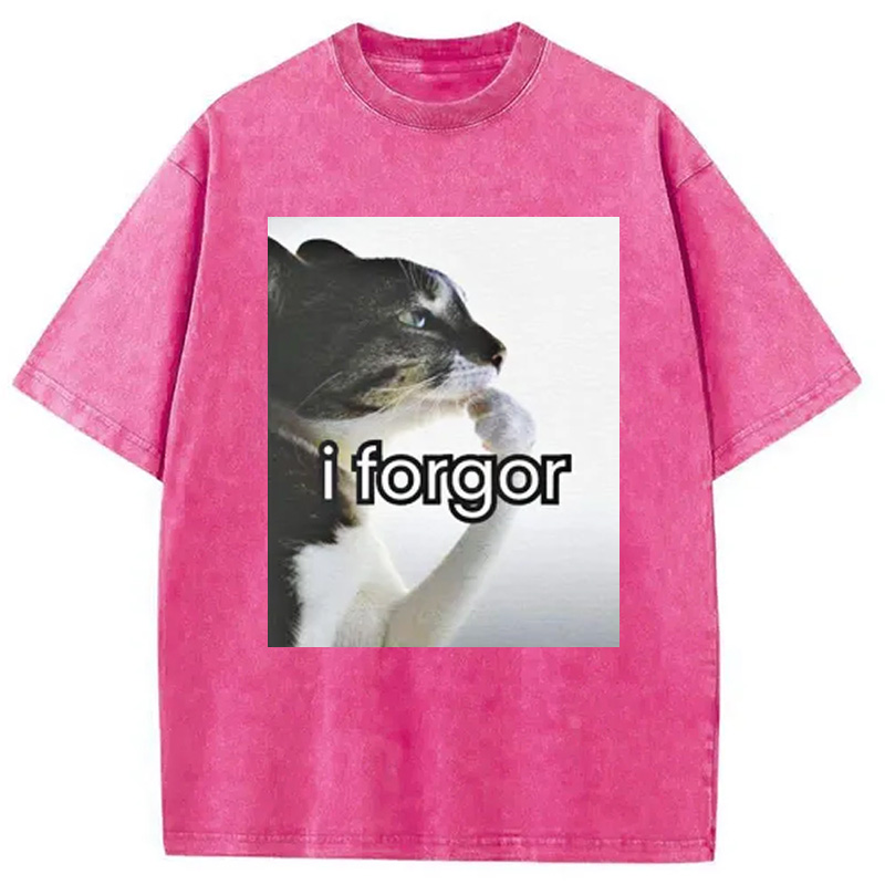 Modecanvas I Forgor Cat Meme Washed T-Shirt