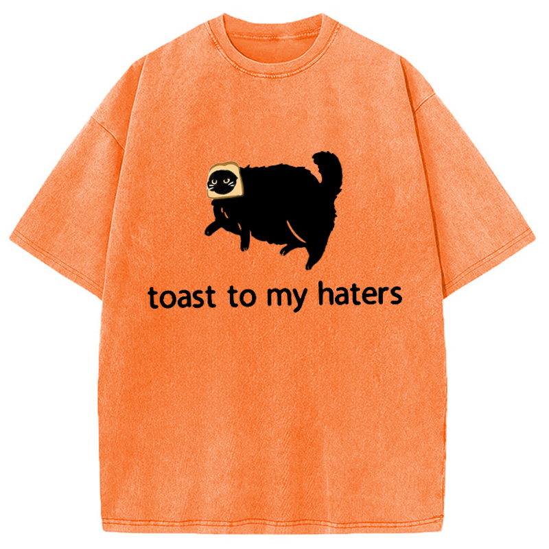 Modecanvas Toast To My Haters Washed T-Shirt