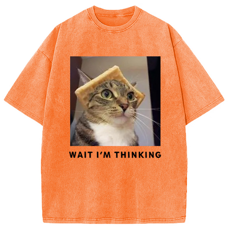 Modecanvas Wait Im Thinking Meme Washed T-Shirt