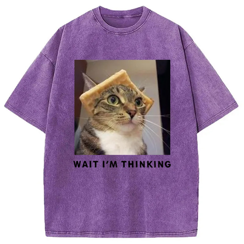 Modecanvas Wait Im Thinking Meme Washed T-Shirt
