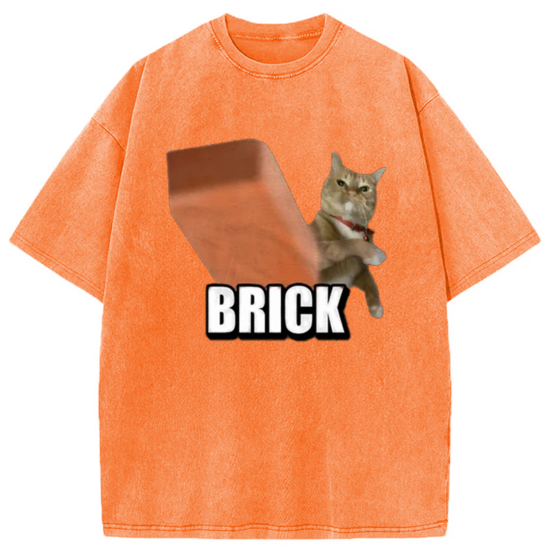 Modecanvas Funny Cat Throwing Brick Washed T-Shirt