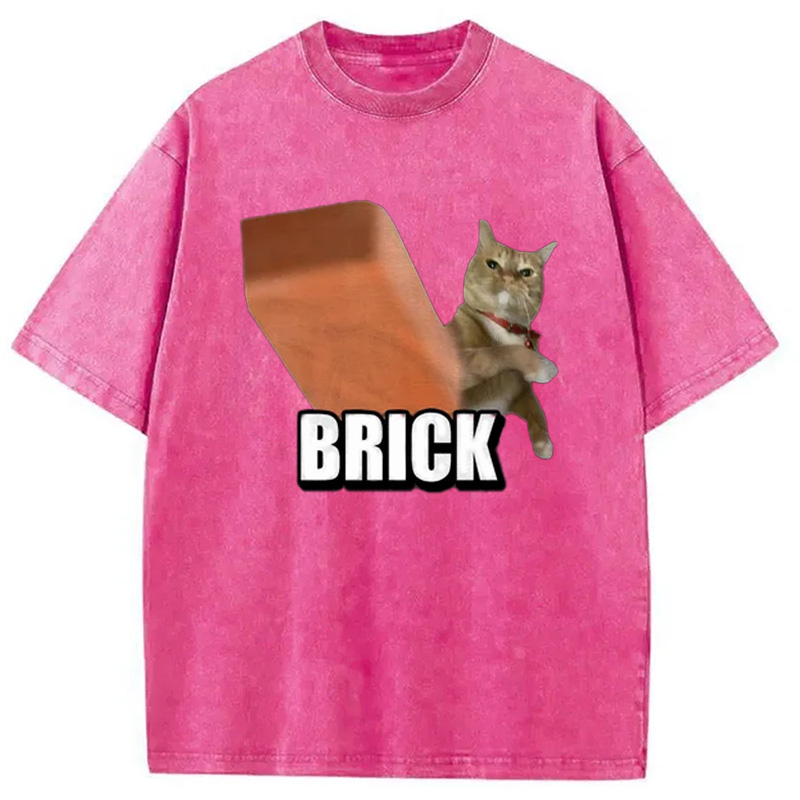 Modecanvas Funny Cat Throwing Brick Washed T-Shirt