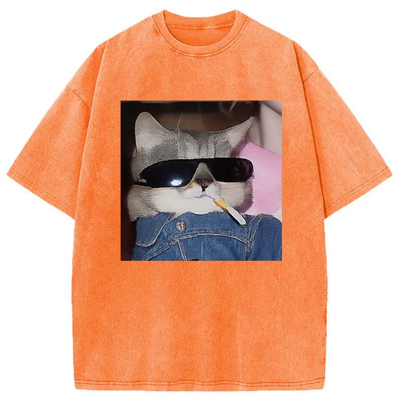 Modecanvas Funny Smoking Cat Meme Washed T-Shirt