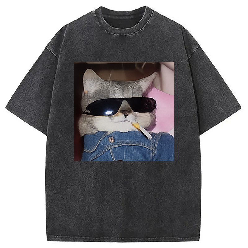 Modecanvas Funny Smoking Cat Meme Washed T-Shirt