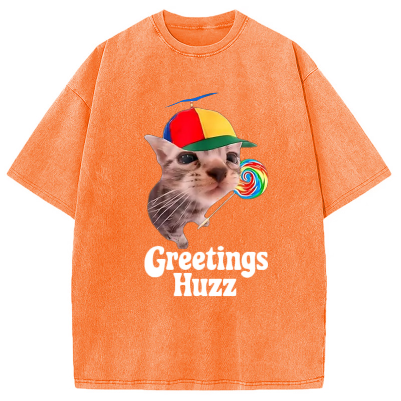 Modecanvas Funny Lollipop Cat Meme Washed T-Shirt