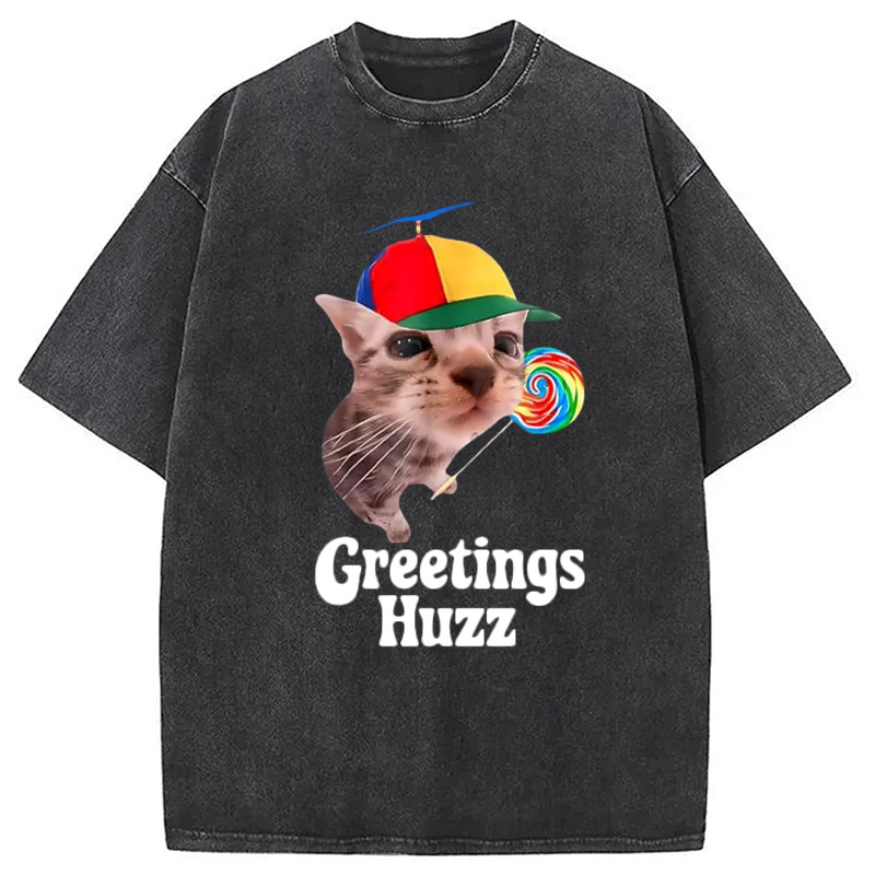 Modecanvas Funny Lollipop Cat Meme Washed T-Shirt