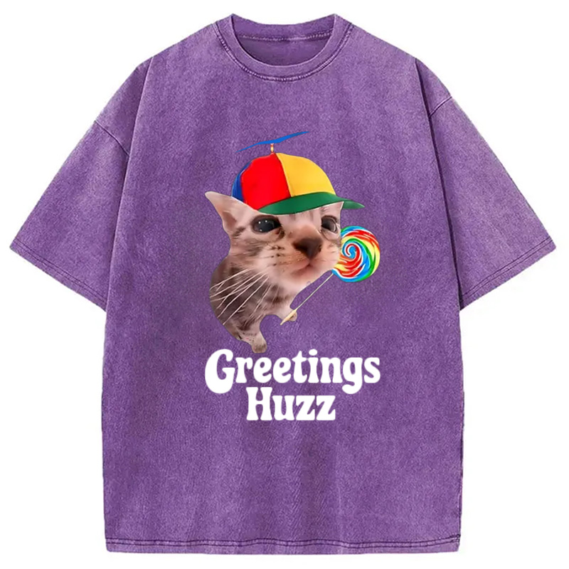 Modecanvas Funny Lollipop Cat Meme Washed T-Shirt