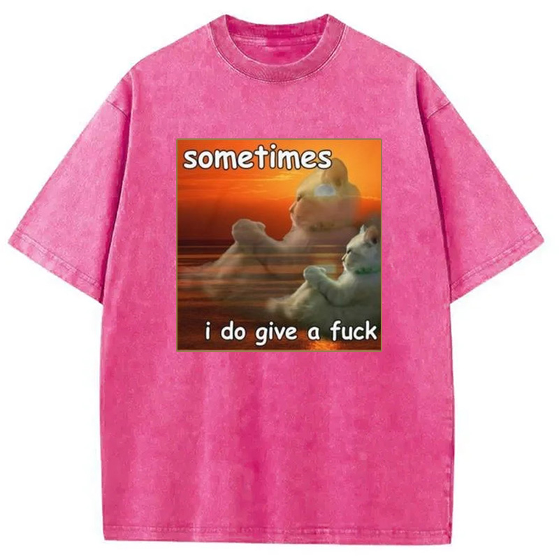 Modecanvas Sometimes I Do Give A Fxck Meme Washed T-Shirt