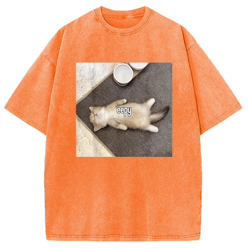 Modecanvas Eepy Funny Cat Meme Washed T-Shirt