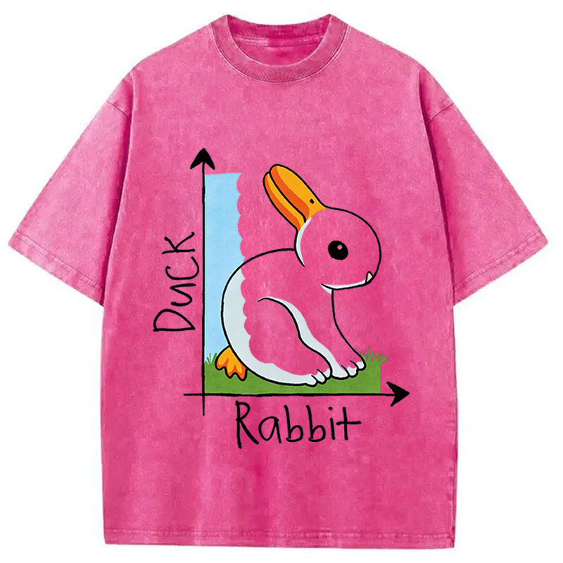 Modecanvas Duck Or Rabbit DTG Printing Washed T-Shirt