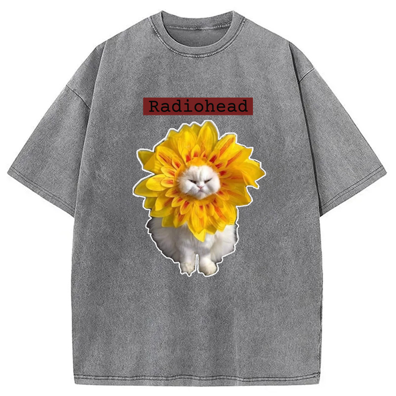 Modecanvas Radiohead Cat Washed T-Shirt