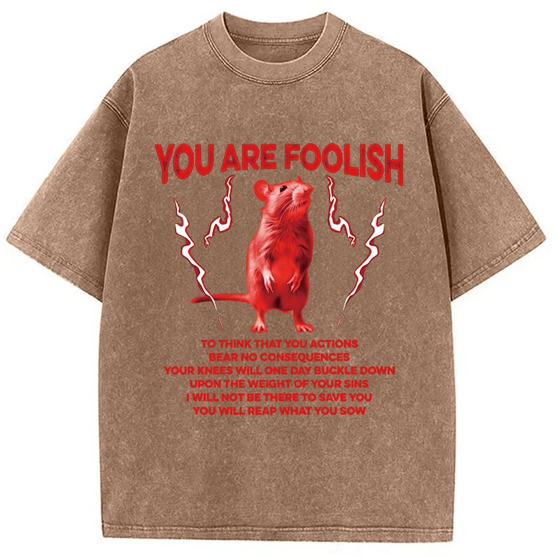 Modecanvas You Are Foolish Rat DTG Printing Washed T-Shirt
