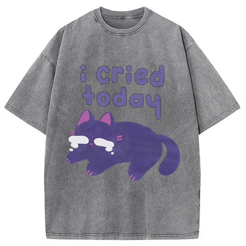 Modecanvas I Cried Today Cat DTG Printing Washed T-Shirt