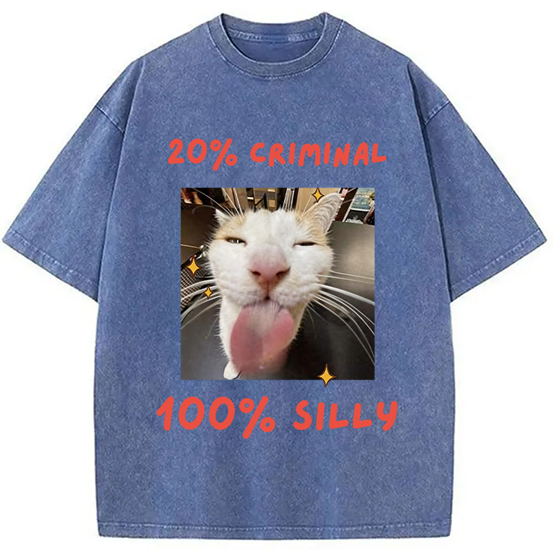 Modecanvas That Silly Cat Meme DTG Printing Washed T-Shirt