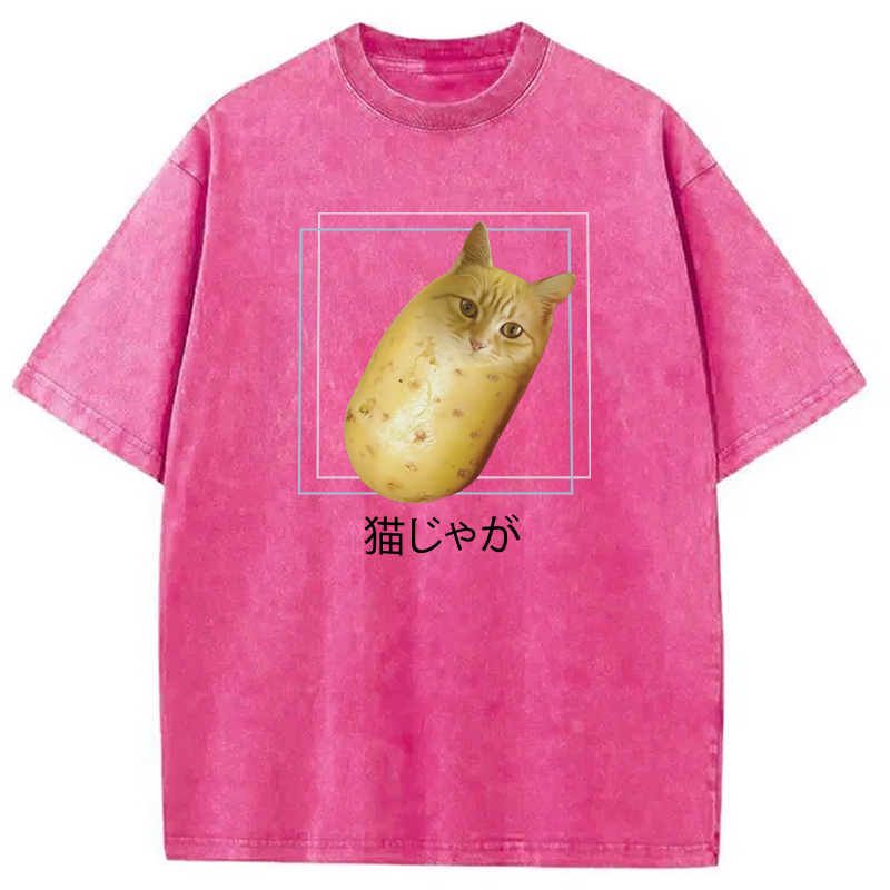 Modecanvas Silly Potato Cat Funny Meme Washed T-Shirt