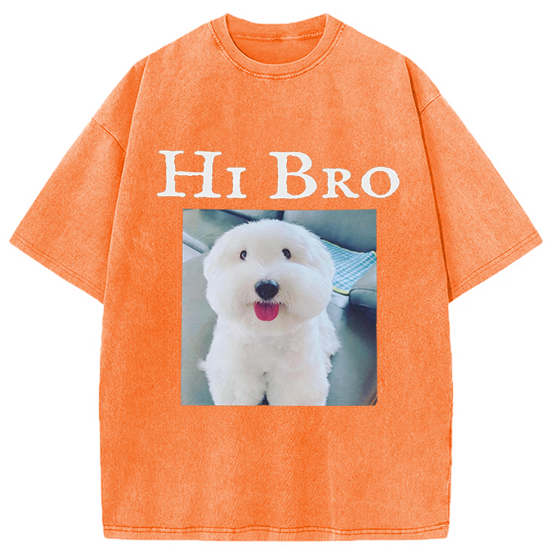 Modecanvas Hi Bro Dog Meme DTG Printing Washed T-Shirt