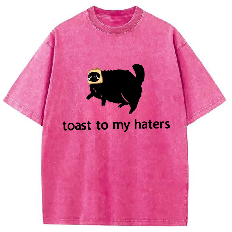 Modecanvas Toast To My Haters Washed T-Shirt
