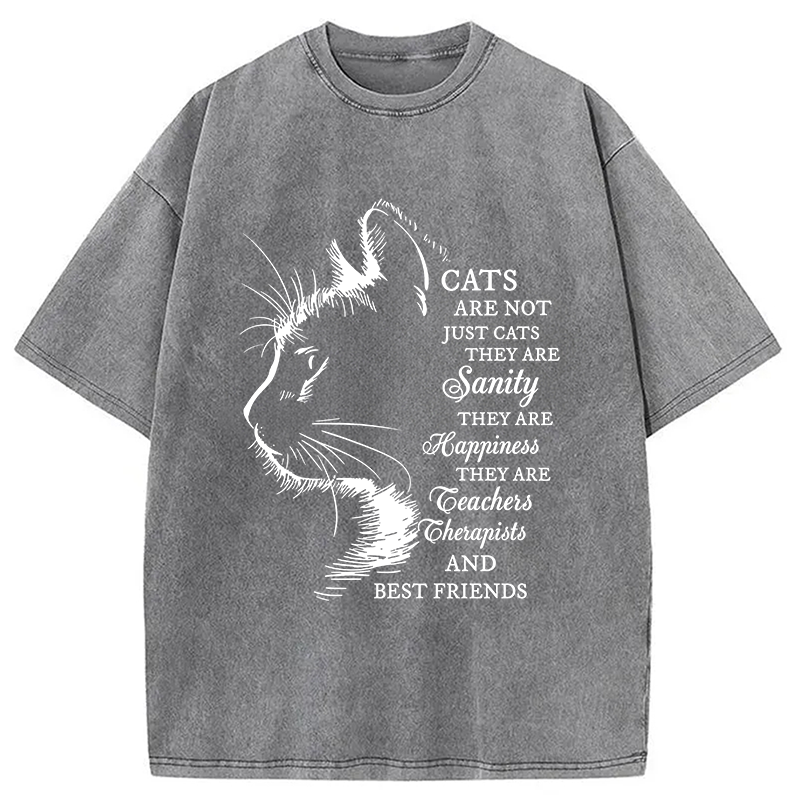 Modecanvas Cat Best Friend DTG Printing Washed T-Shirt