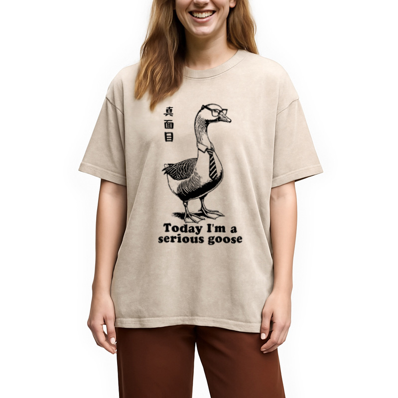 Modecanvas Serious Goose Washed T-Shirt