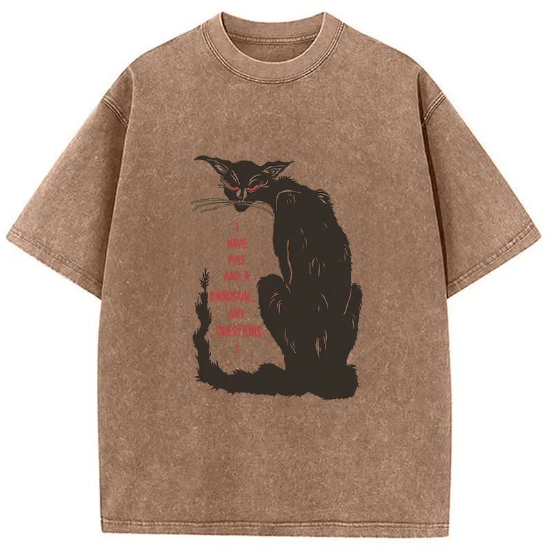 Modecanvas I Have PMS And A Handgun Any Questions? DTG Printing Washed T-Shirt