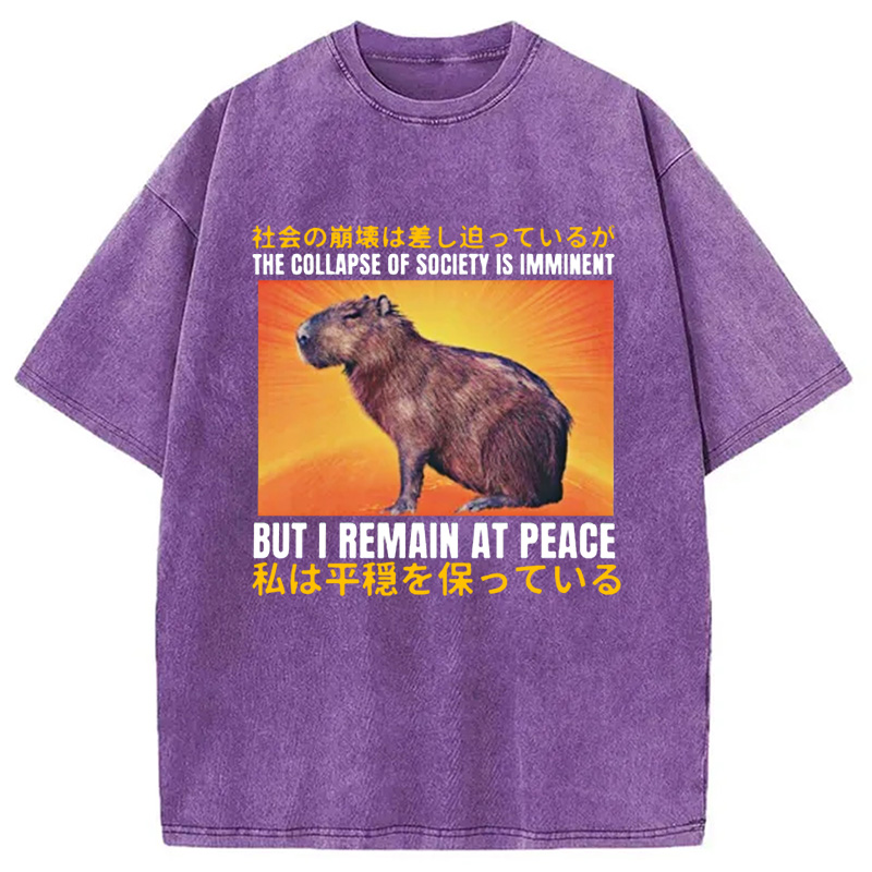 Modecanvas The Collapse of Society is Imminent Washed T-Shirt