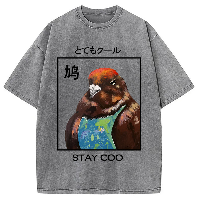 Modecanvas Stay Cool Pigeon Washed T-Shirt