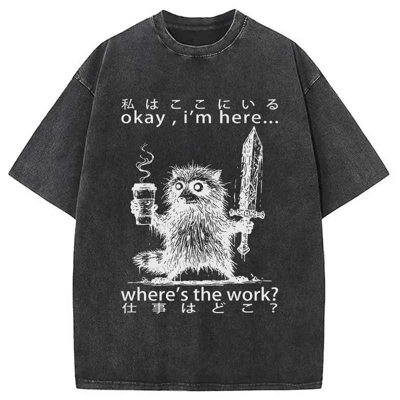 Modecanvas Raccoon Ready To Work Washed T-Shirt