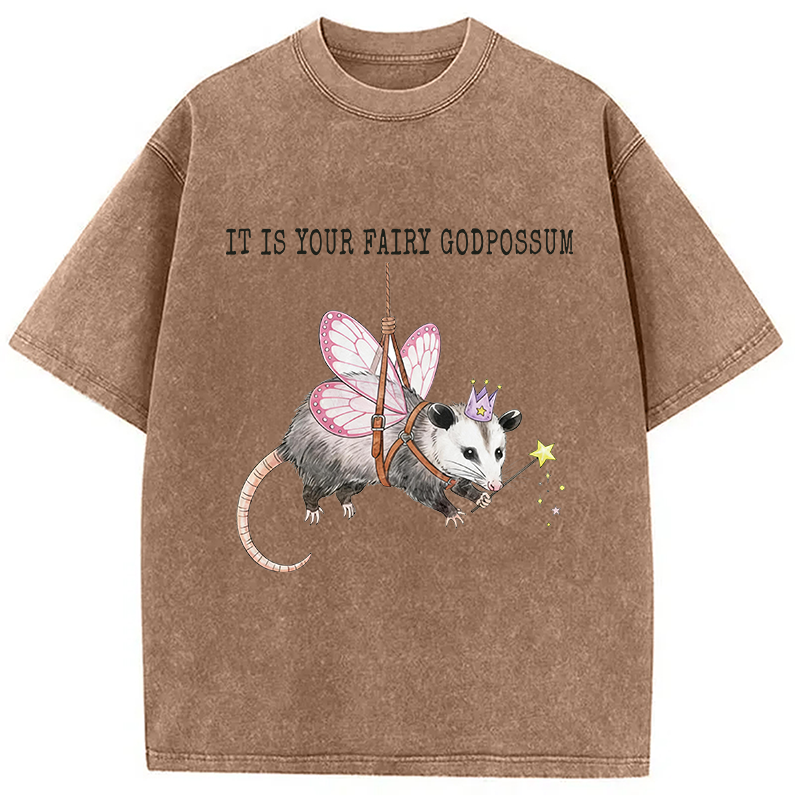 Modecanvas Funny Possum Meme DTG Printing Washed T-Shirt