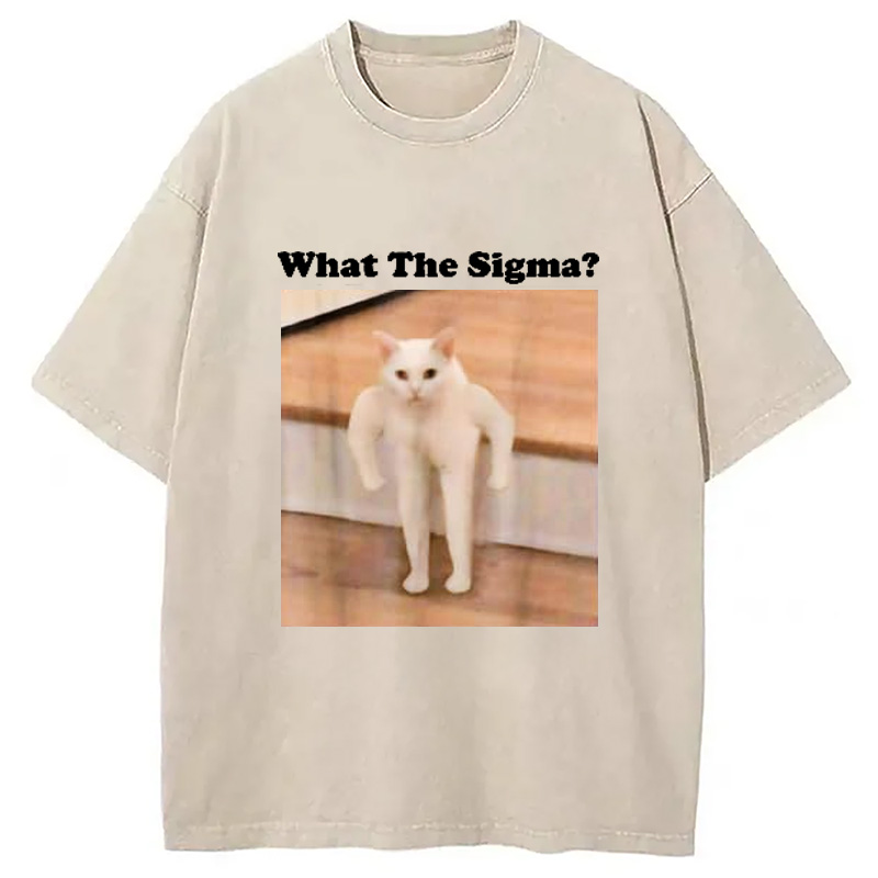 Modecanvas What Sigma Cat Meme Washed T-Shirt