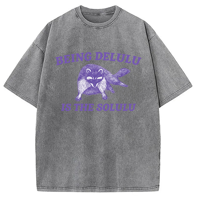 Modecanvas Funny Delusional Raccoon Washed T-Shirt