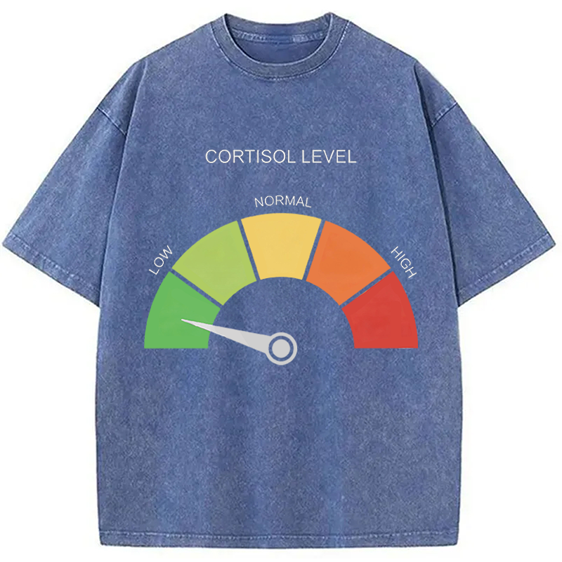 Modecanvas Cortisol Level Meme DTG Printing Washed T-Shirt
