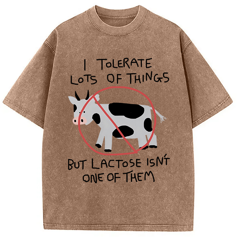 Modecanvas I Tolerate Lots Of Things DTG Printing Washed T-Shirt
