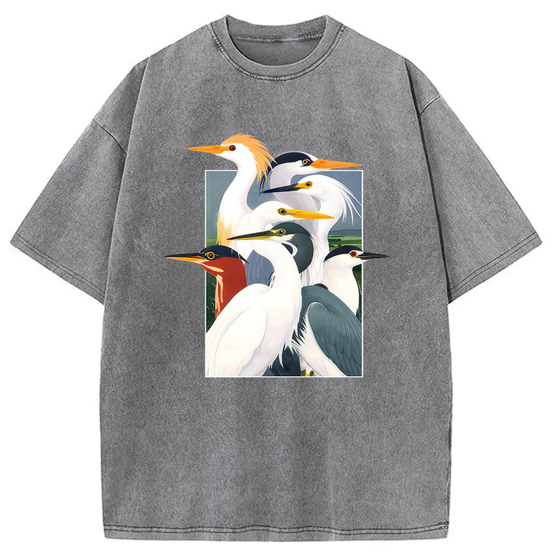 Modecanvas Wetland Assembly DTG Printing Washed T-Shirt