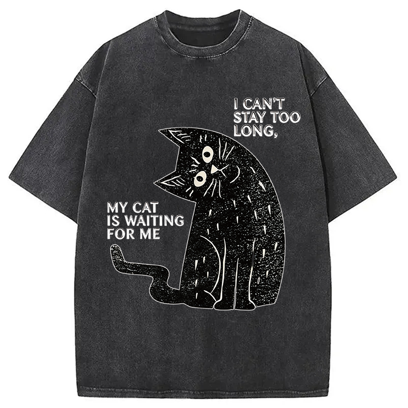 Modecanvas My Cat Is Waiting for Me Washed T-Shirt
