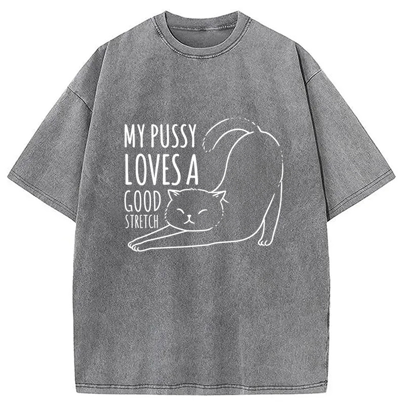 Modecanvas Funny Cat Washed T-Shirt