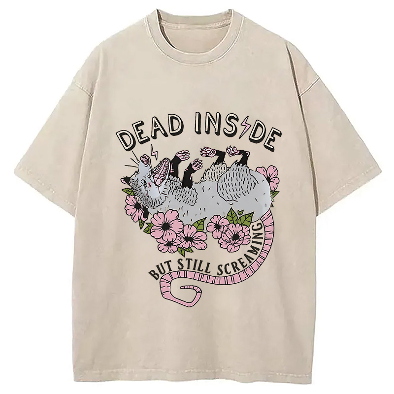 Modecanvas Dead Inside Washed T-Shirt