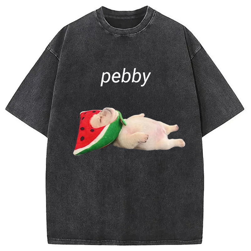 Modecanvas Funny Pibble Dog Meme DTG Printing Washed T-Shirt