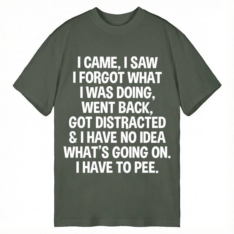 Modecanvas I Came I Saw I Forgot What I Was Doing DTG Printing Classic T-Shirt-modecanvas