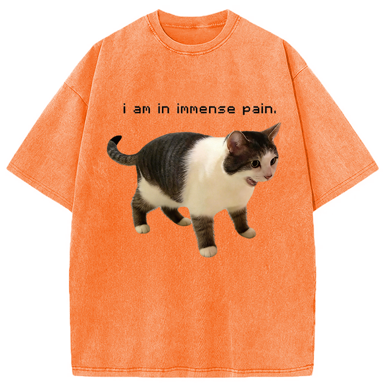 Modecanvas Screaming Cat Immense Pain DTG Printing Washed T-Shirt