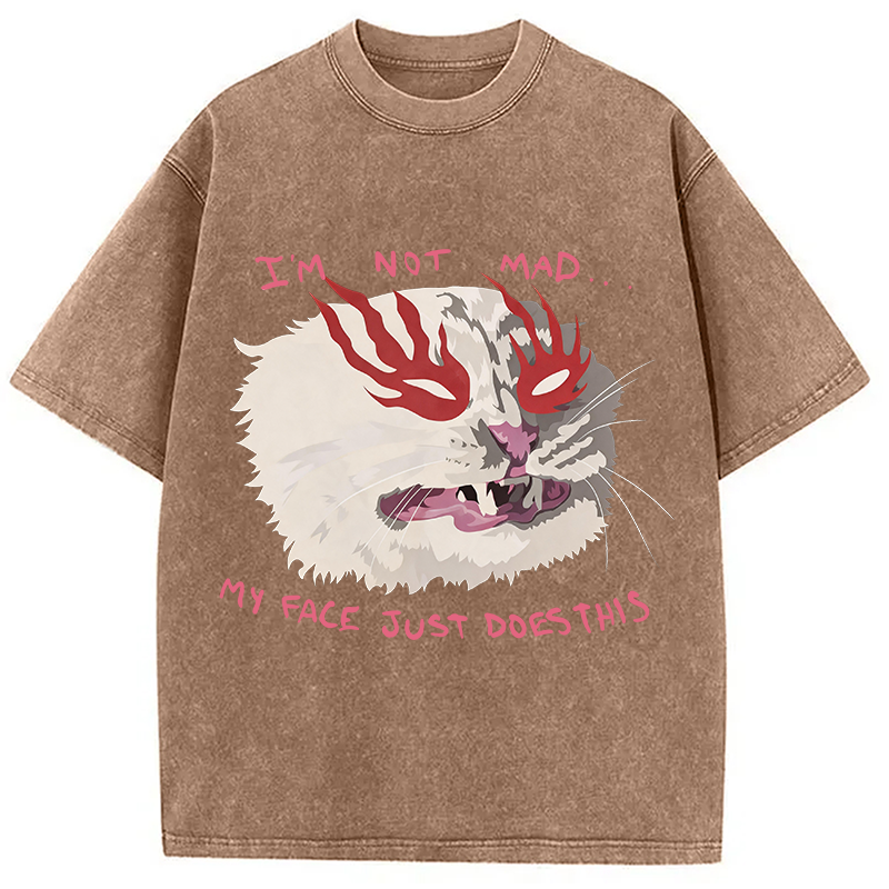 Modecanvas I'm Not Mad DTG Printing Washed T-Shirt