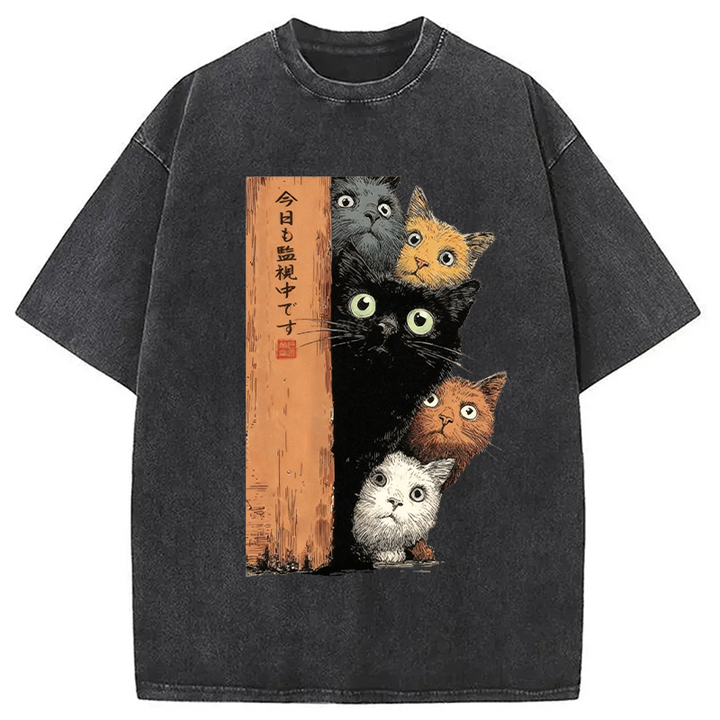 Modecanvas Cats Are Watching You Washed T-Shirt