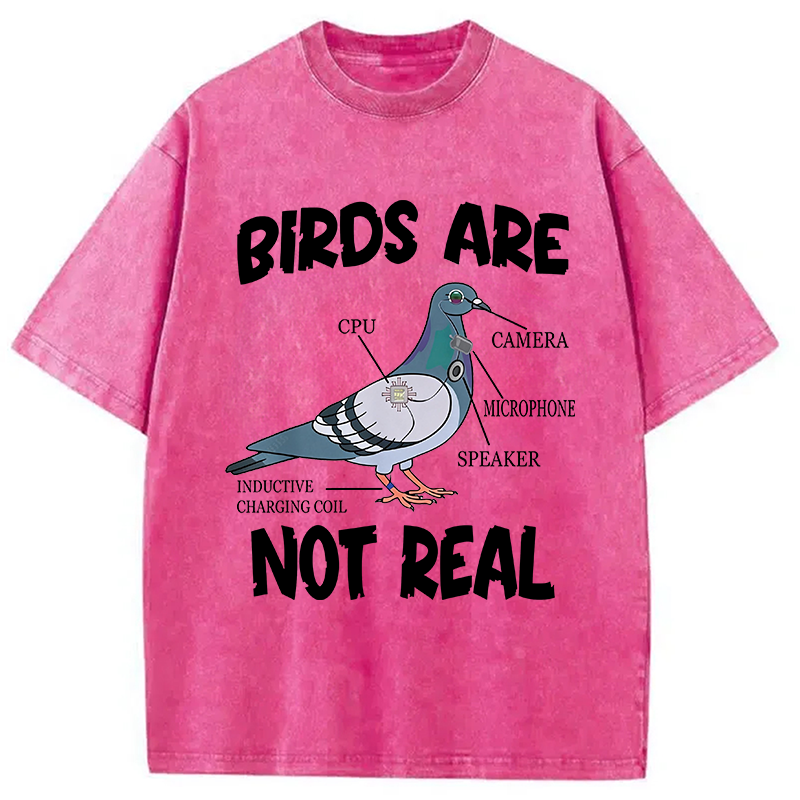 Modecanvas Pigeon Birds Are Not Real Funny DTG Printing Washed T-Shirt