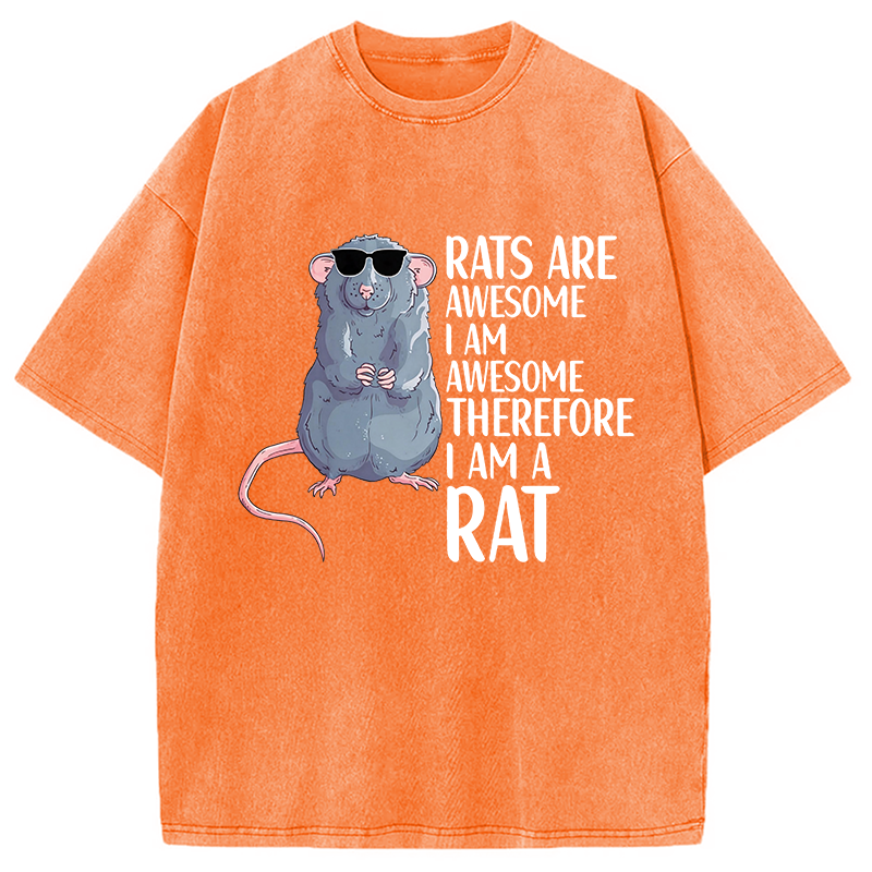 Modecanvas Rats Are Awesome Funny Rat DTG Printing Washed T-Shirt