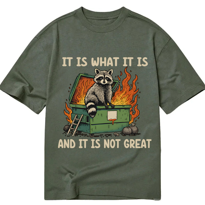 Modecanvas It Is What It Is Dumpster Fire Funny Raccoon Meme DTG Printing Classic T-Shirt-modecanvas