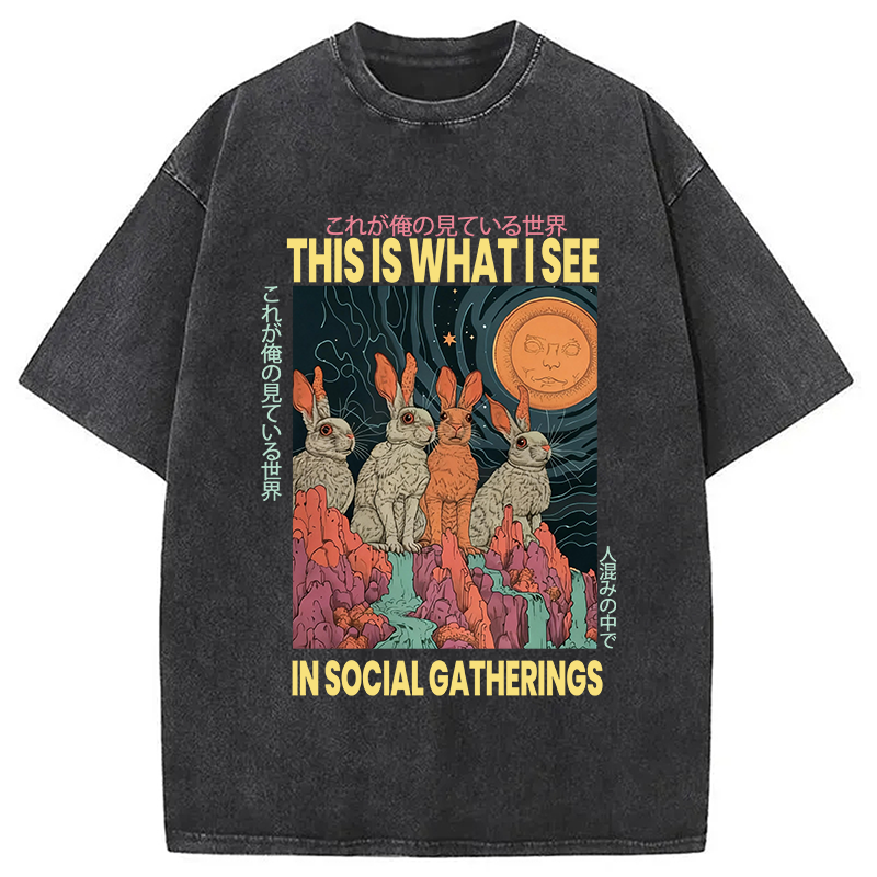 Modecanvas Funny Rabbit Japanese Social Anxiety DTG Printing Washed T-Shirt-modecanvas