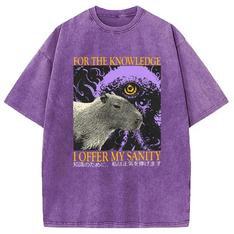 Modecanvas I Offer My Sanity Vintage Japanese Capybara Washed T-Shirt